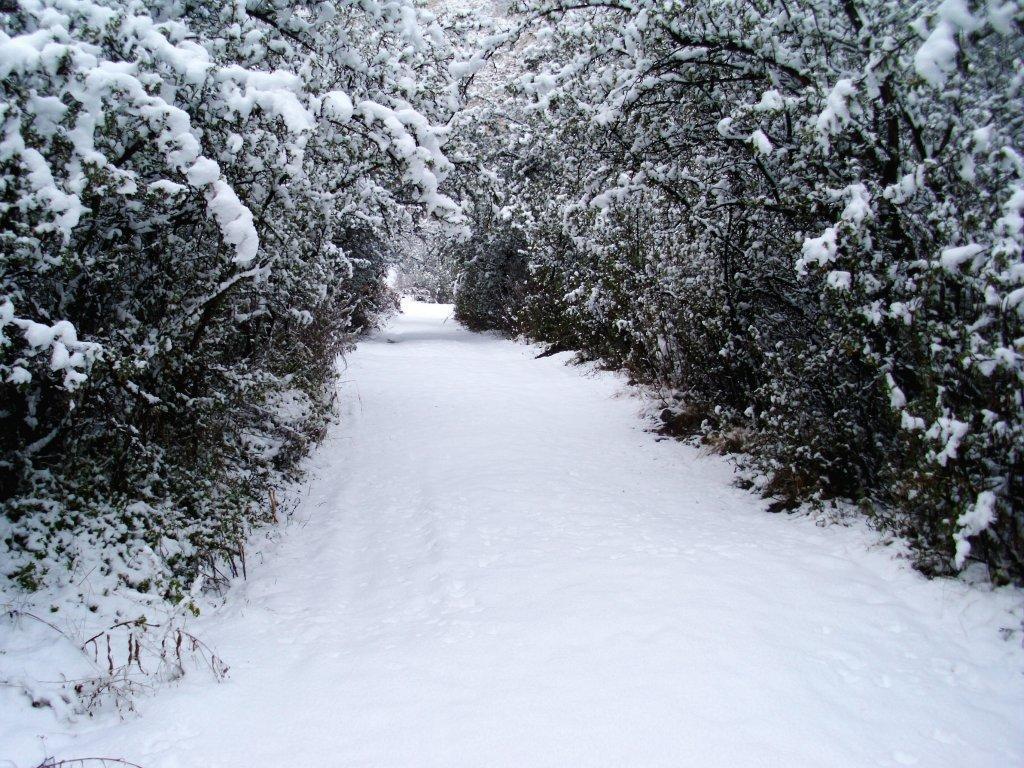 Maliba River Lodge Butha-Buthe Εξωτερικό φωτογραφία